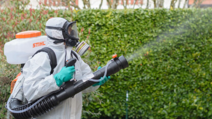 Fumigación de abejas en Lima por Biohazard