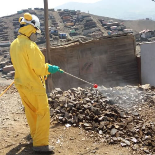 Servicio realizado de fumigación de garrapatas en Lima, Perú