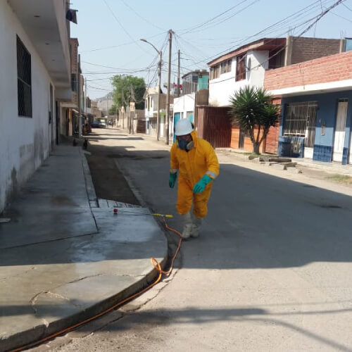 Servicio realizado de fumigación de hormigas en Lima, Perú