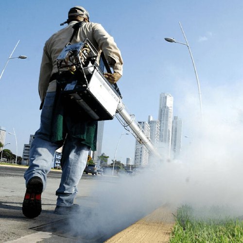 Fumigación de plagas en Lima por Biohazard