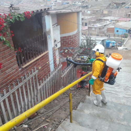 fumigacion-de-abejas-en-lima-peru.jpg