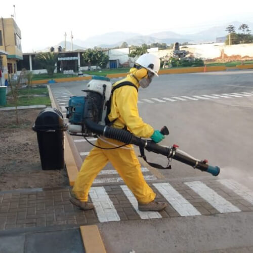 fumigacion-de-abejas-en-lima.jpg